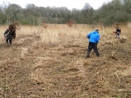 Volunteers cutting and raking wildflower survey plot, 2020-02-16 (1481)